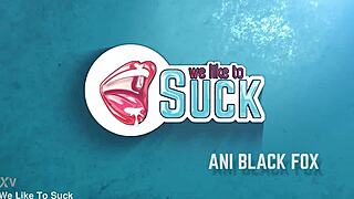 hot fuck with ani blackfox riding and taking cumshot deep