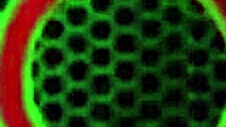 Cuckold Watches Rome Major Bounce Alura Jenson's Huge Ass Wildly