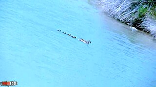 Hey, isn't that gorgeous French beurette Krystal Wallas getting roughly fucked outdoors?