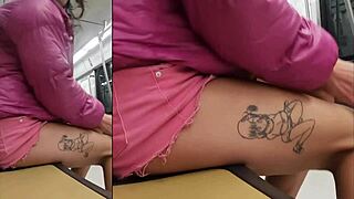 Crossdressing Transsexual Shows Panties Under Skirt in Exhibit
