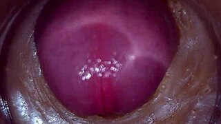 i'm dripping precum everywhere as huge cock stretches my swollen pussy lips in extreme 4k toy closeup