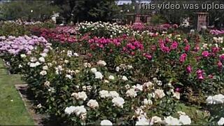 bangla couple's romantic group fuck with cute wife pussy pounding 😍💦