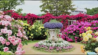 bangla couple's romantic group fuck with cute wife pussy pounding 😍💦