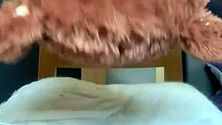 wanna see me facesit mr bear right through these tight jeans?