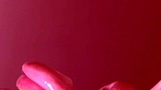 my japanese homestay experience felt so warm and welcoming