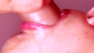 my japanese homestay experience felt so warm and welcoming