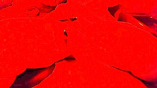 BBW Wife Squirts Multi Orgasms from Toy Then Sawzall Drilling!