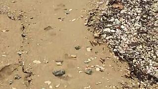 sexy asian wife bares her big natural tits nude on the beach