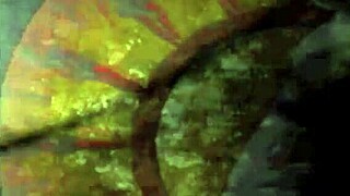 love this vintage erotic art collection 😍📽️