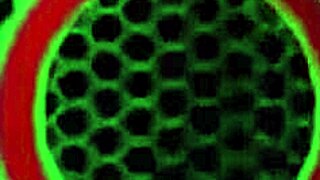 Stunning monica santhiago rides and milks rome majors huge bbc