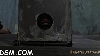 Cunning Maid Sneaks Sex Toy Into Tight Tang