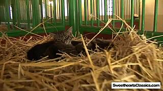 oh man these perfect teen tits flash outdoors then they finger tight pussies wild