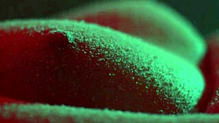 Snow Covers My Tits and Pussy Close Up