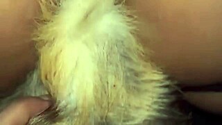 la potra this mature latina big ass social media star rides her fan hard