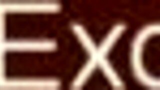 Cunning Cunnilingus Lessons from Sensual Asian Lover