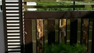 instagram fitness babes shake big asses in tight latex leggings