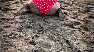 i get beach blowjob from stranger petite latina