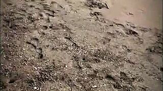 i get beach blowjob from stranger petite latina