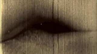 vintage erotic art captures timeless sensual allure and mystery