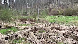 Emo slut chokes on BBC then bent over rough in public park