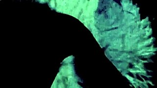 i cant beleive my secret life hidin with vintage lesbians