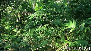 Petite Ebony Farmers Caught Bush Fucking Big Black Cock