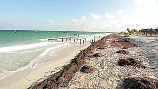 tranny's tight ass handles that hard dong just right