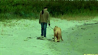 hey, faithful slave follows master on leash to nest