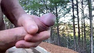 clitlicker662 flashes shaved pussy outdoors in forest update 28 img 1283