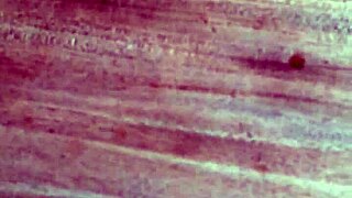 me cumming hard on desk solo orgasm cumshot!