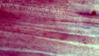 me cumming hard on desk solo orgasm cumshot!