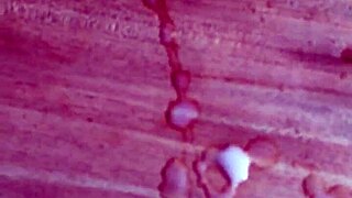 me cumming hard on desk solo orgasm cumshot!