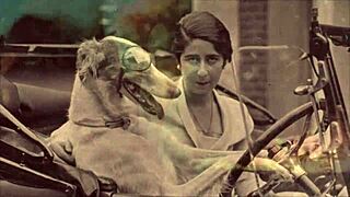 Ever Wondered About Vintage Nature Girls' Hairy Beavers in Antique Scenes?