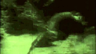 Ever Wondered About Vintage Nature Girls' Hairy Beavers in Antique Scenes?