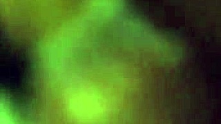 Does pinky pig slut crave Aixmen's French big dick pounding her in the bedroom?