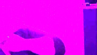 wanna see my wife choke on cock deepthroat gagging till she cums hard?