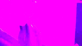 wanna see my wife choke on cock deepthroat gagging till she cums hard?