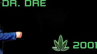 Japanese Big Tits Big Ass Cover Dr Dre Next Episode Porn Parody