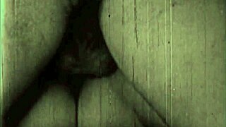 vintage erotic scenes unfold in antique style