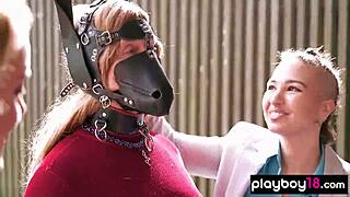 i meet kate's wild mature pony roleplay crew outdoors