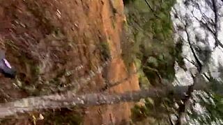 me follando en el bosque al aire libre es tan rico