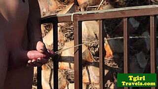 busty shemale strokes pierced cock outdoors