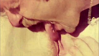 Vintage hairy pussies in retro group romps