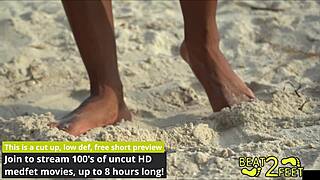 Giggles' feet covered in sand at beach