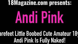 petite 18yo blonde andi land undresses to reveal small tits and shaved pussy