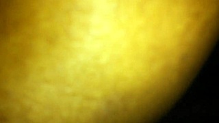 fat slut gets anal assfucking in usa homemade video
