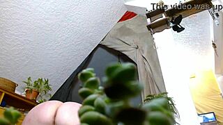 Tiny escaped guy found by curvy mature with huge tits