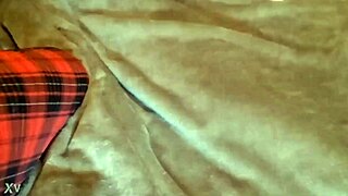 Model verification video shared online