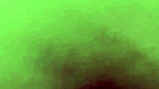 Quickly Compilation