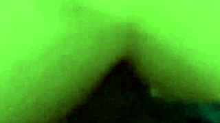Quickly Compilation